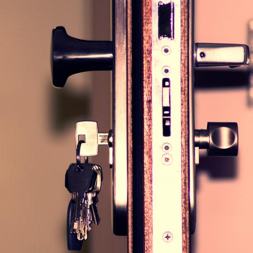 Master generalni ključ  ( sistem ključa sa prioritetom zaključavanja i otključavanja) 